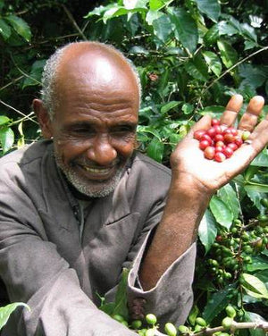 Buy coffee from Africa, Asia and Indonesia