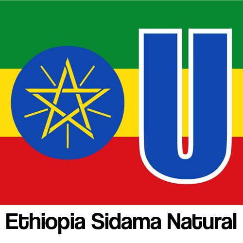 Ethiopia Sidama Natural
