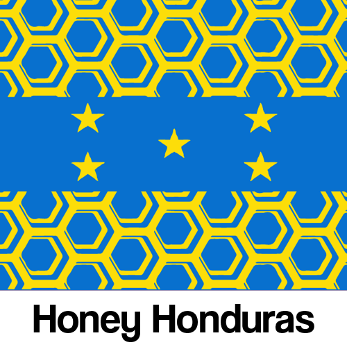 Honey Processed Honduras